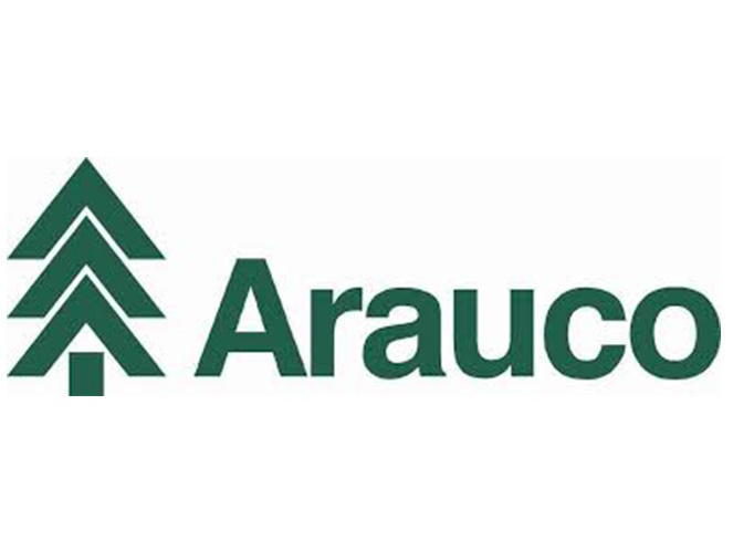 Arauco